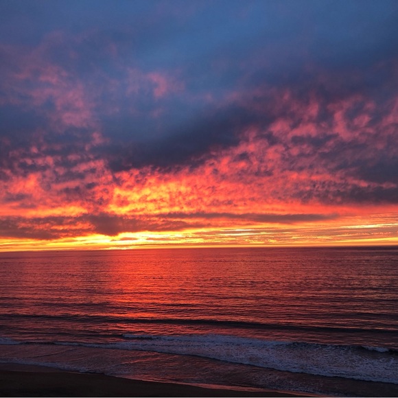 Meet your Posher, Kristine - Picture 1 of 1